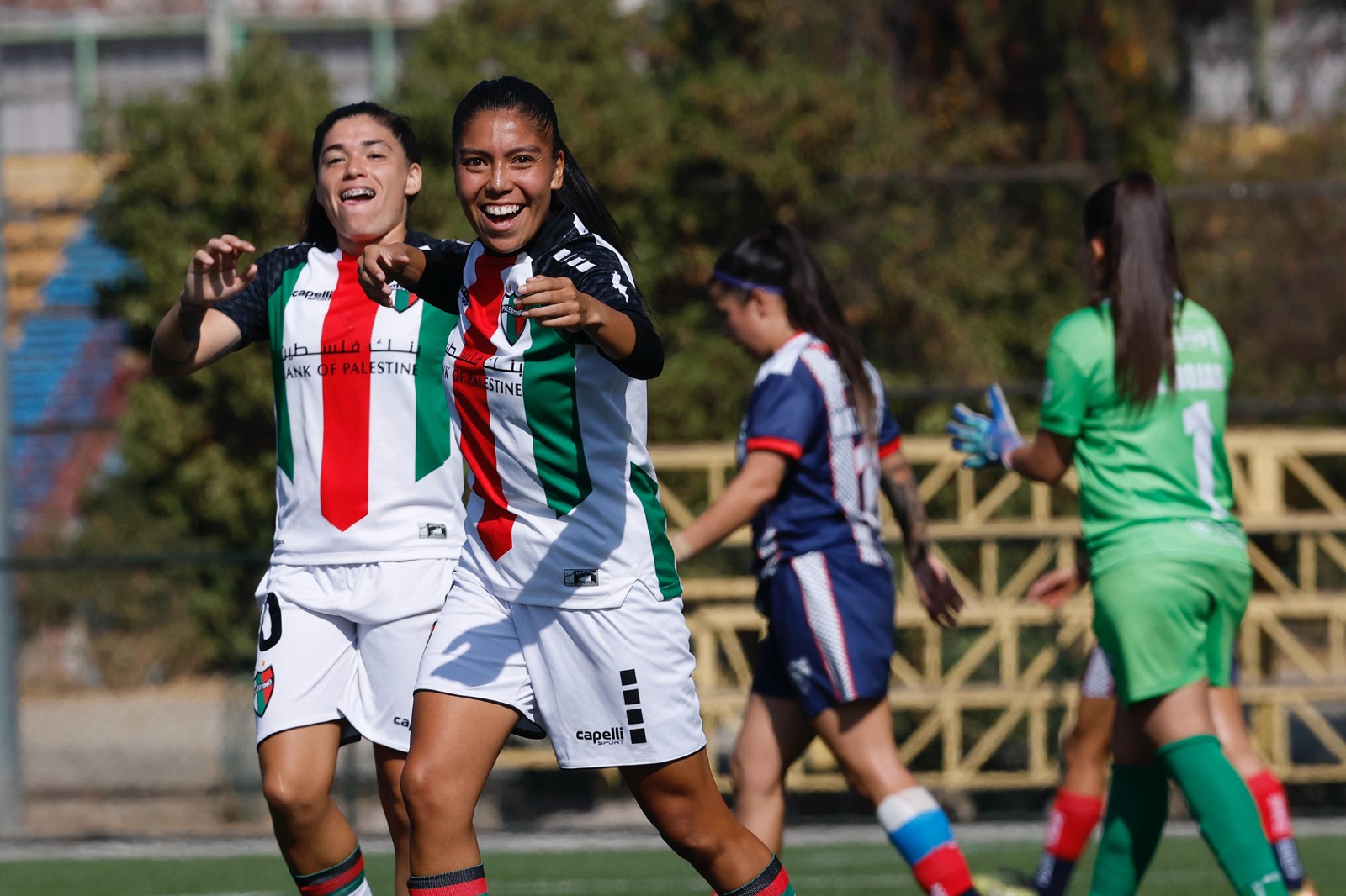 Palestino goleó a Deportes Recoleta como visita
